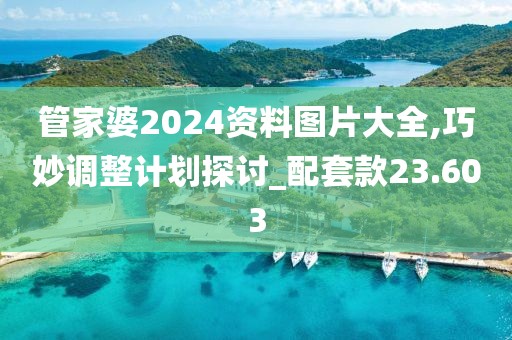 管家婆2024资料图片大全,巧妙调整计划探讨_配套款23.603