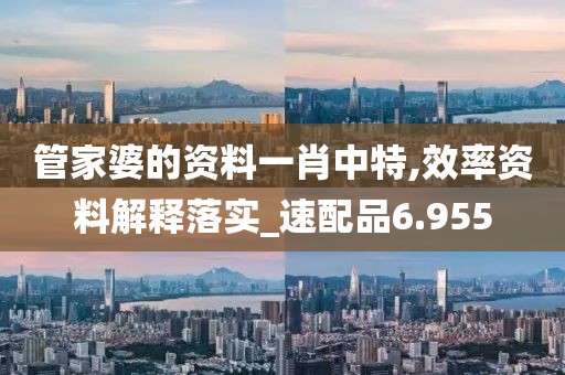 管家婆的资料一肖中特,效率资料解释落实_速配品6.955