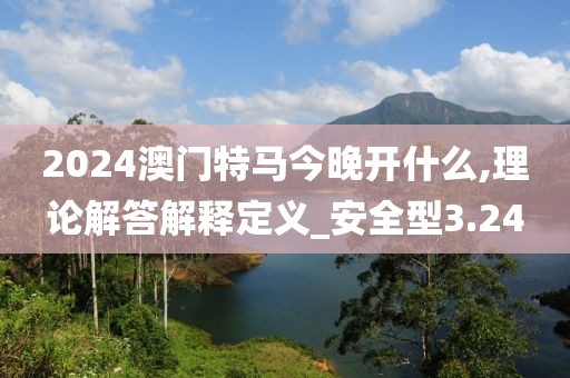 2024澳门特马今晚开什么,理论解答解释定义_安全型3.24