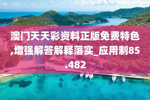 澳门天天彩资料正版免费特色,增强解答解释落实_应用制85.482
