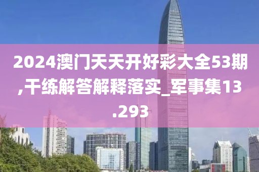 2024澳门天天开好彩大全53期,干练解答解释落实_军事集13.293