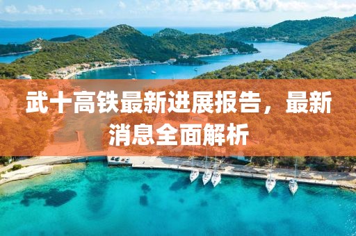 武十高铁最新进展报告，最新消息全面解析