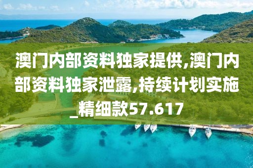 澳门内部资料独家提供,澳门内部资料独家泄露,持续计划实施_精细款57.617