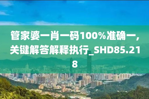 管家婆一肖一码100%准确一,关键解答解释执行_SHD85.218
