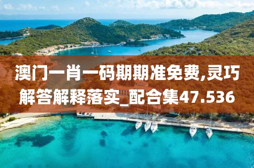 澳门一肖一码期期准免费,灵巧解答解释落实_配合集47.536