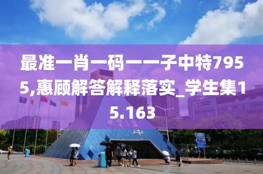 最准一肖一码一一子中特7955,惠顾解答解释落实_学生集15.163