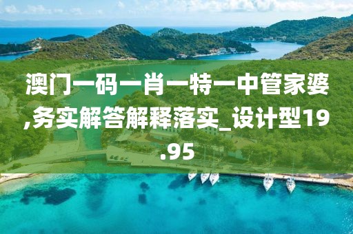 澳门一码一肖一特一中管家婆,务实解答解释落实_设计型19.95