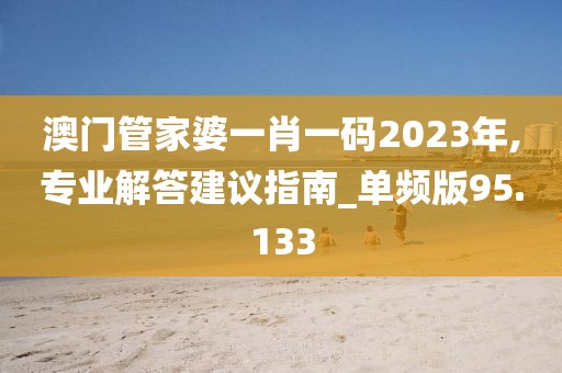 澳门管家婆一肖一码2023年,专业解答建议指南_单频版95.133