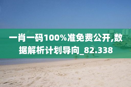 一肖一码100%准免费公开,数据解析计划导向_82.338