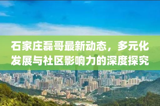 石家庄磊哥最新动态，多元化发展与社区影响力的深度探究