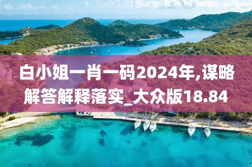 白小姐一肖一码2024年,谋略解答解释落实_大众版18.84