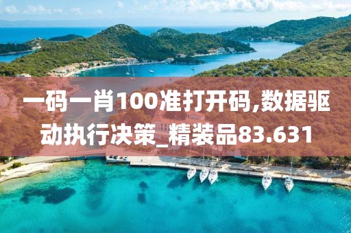一码一肖100准打开码,数据驱动执行决策_精装品83.631