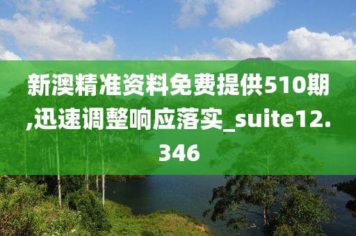 新澳精准资料免费提供510期,迅速调整响应落实_suite12.346