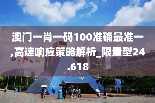 澳门一肖一码100准确最准一,高速响应策略解析_限量型24.618