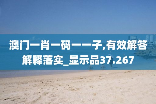 澳门一肖一码一一子,有效解答解释落实_显示品37.267