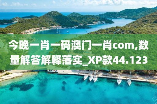 今晚一肖一码澳门一肖com,数量解答解释落实_XP款44.123