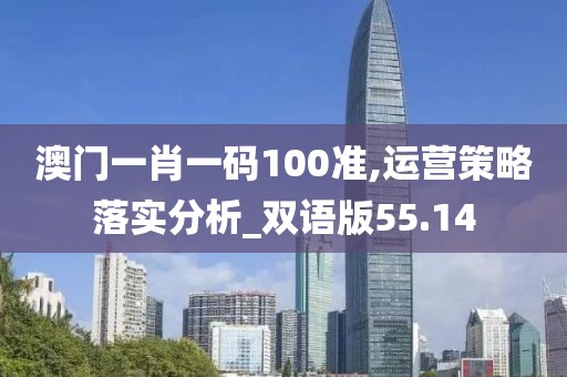 澳门一肖一码100准,运营策略落实分析_双语版55.14