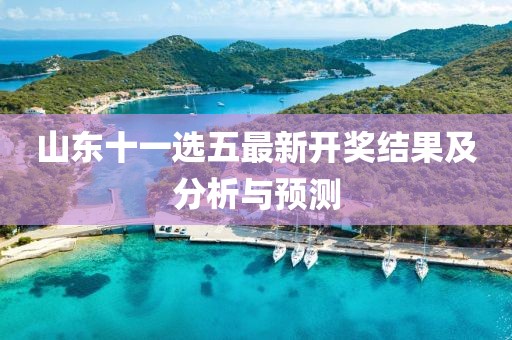 山东十一选五最新开奖结果及分析与预测