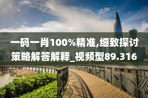 一码一肖100%精准,细致探讨策略解答解释_视频型89.316