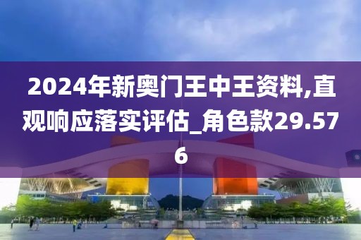 2024年新奥门王中王资料,直观响应落实评估_角色款29.576