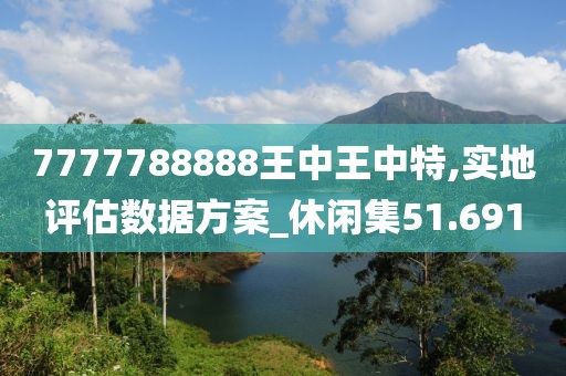 7777788888王中王中特,实地评估数据方案_休闲集51.691