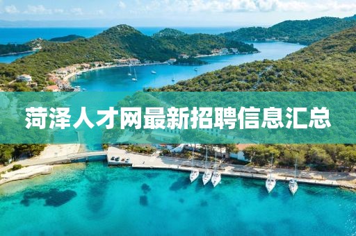 菏泽人才网最新招聘信息汇总