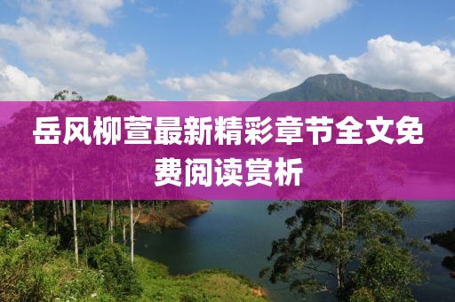 岳风柳萱最新精彩章节全文免费阅读赏析
