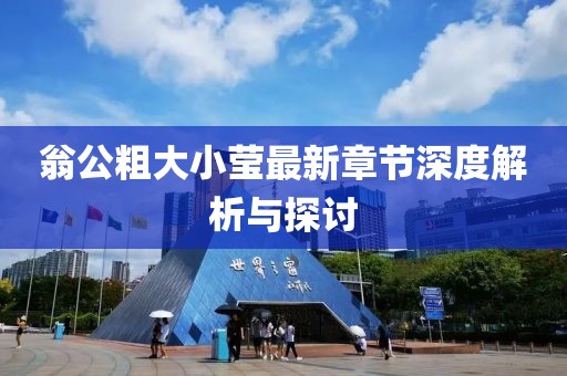 翁公粗大小莹最新章节深度解析与探讨