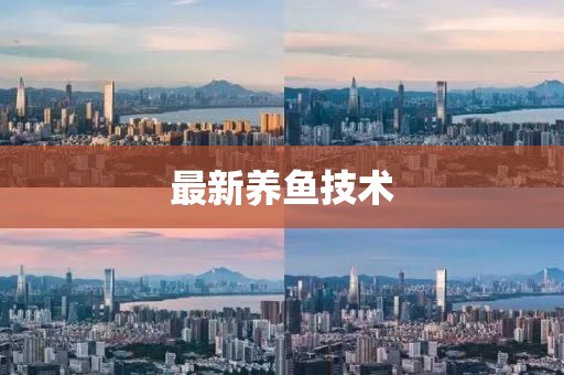 最新养鱼技术