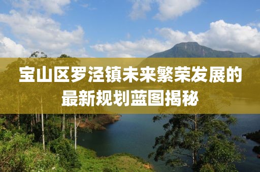宝山区罗泾镇未来繁荣发展的最新规划蓝图揭秘