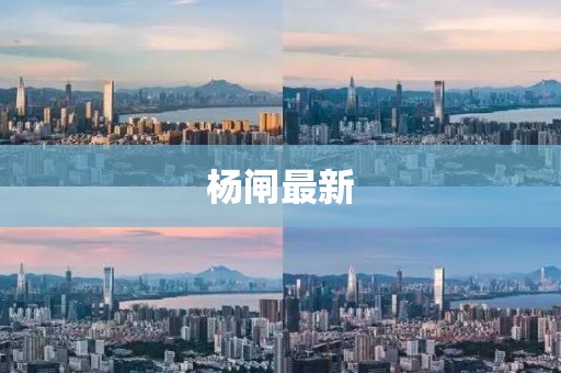 杨闸最新