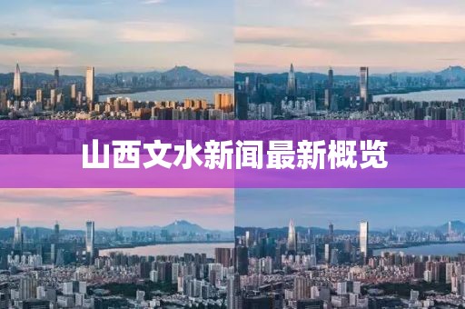 山西文水新闻最新概览