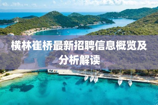 横林崔桥最新招聘信息概览及分析解读