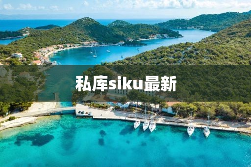 私库siku最新