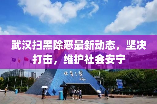 武汉扫黑除恶最新动态，坚决打击，维护社会安宁