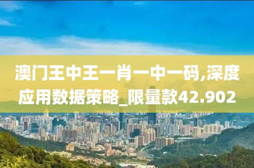 澳门王中王一肖一中一码,深度应用数据策略_限量款42.902