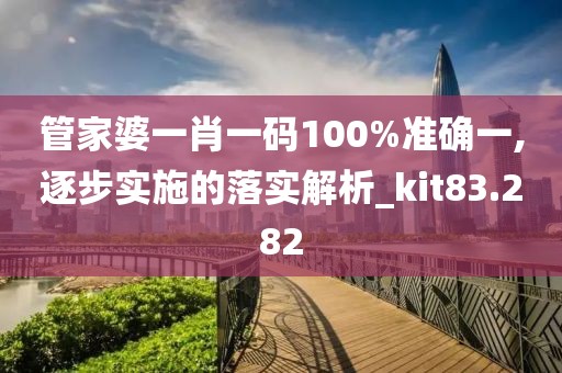 管家婆一肖一码100%准确一,逐步实施的落实解析_kit83.282