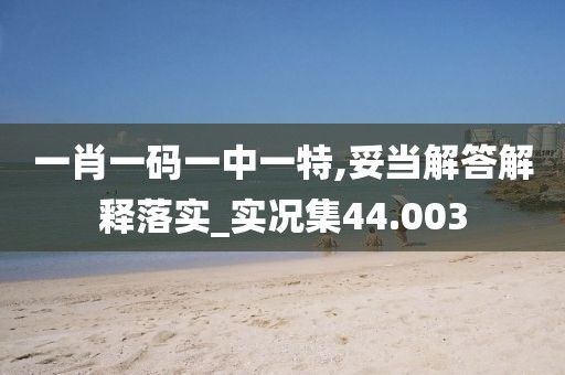 一肖一码一中一特,妥当解答解释落实_实况集44.003