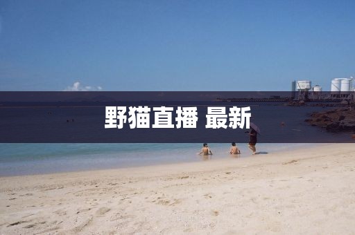 野猫直播 最新