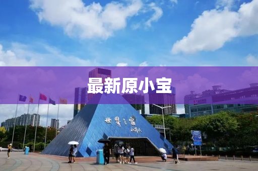 最新原小宝