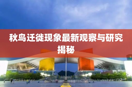 秋鸟迁徙现象最新观察与研究揭秘