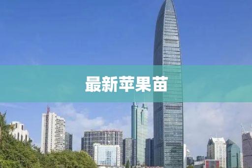 最新苹果苗