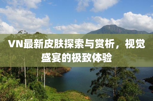 VN最新皮肤探索与赏析，视觉盛宴的极致体验