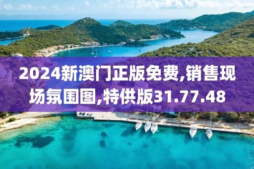 2024新澳门正版免费,销售现场氛围图,特供版31.77.48