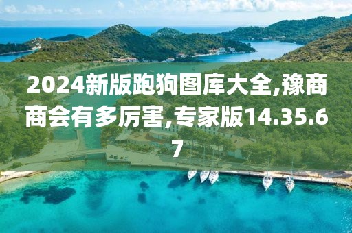 2024新版跑狗图库大全,豫商商会有多厉害,专家版14.35.67