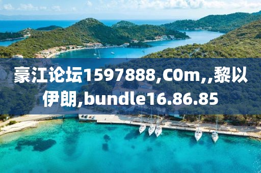 豪江论坛1597888,C0m,,黎以伊朗,bundle16.86.85