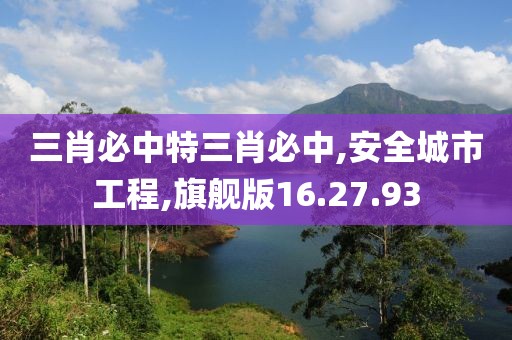 三肖必中特三肖必中,安全城市工程,旗舰版16.27.93