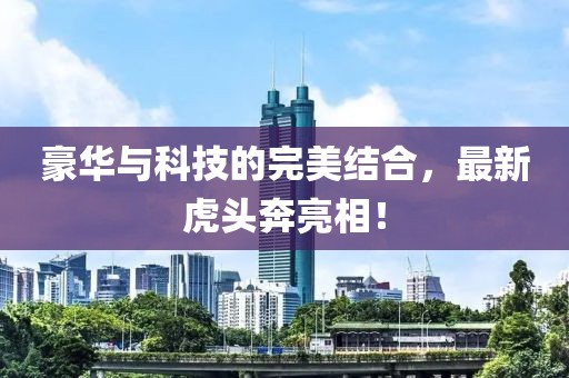豪华与科技的完美结合，最新虎头奔亮相！