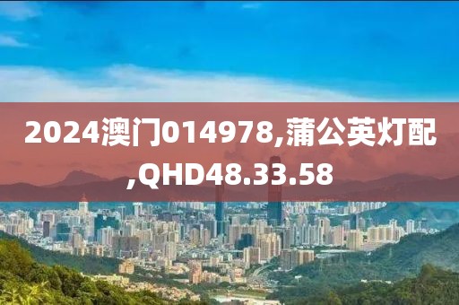2024澳门014978,蒲公英灯配,QHD48.33.58
