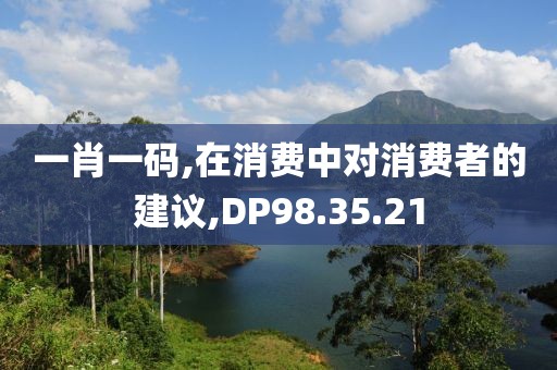 一肖一码,在消费中对消费者的建议,DP98.35.21
